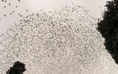 El tiempo no lo cura todo